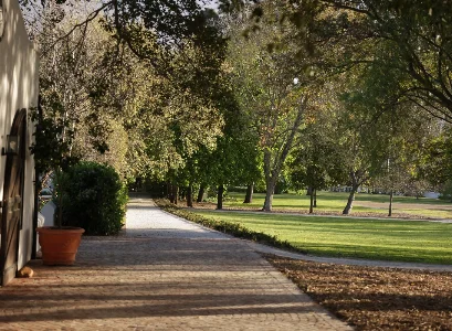 Wine Trails