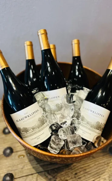 Blaauwklippen - Wine Archive - Wine Bottles