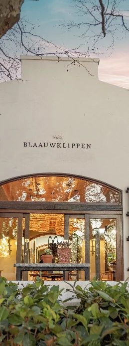 Blaauwklippen - Wine Club - Side Image