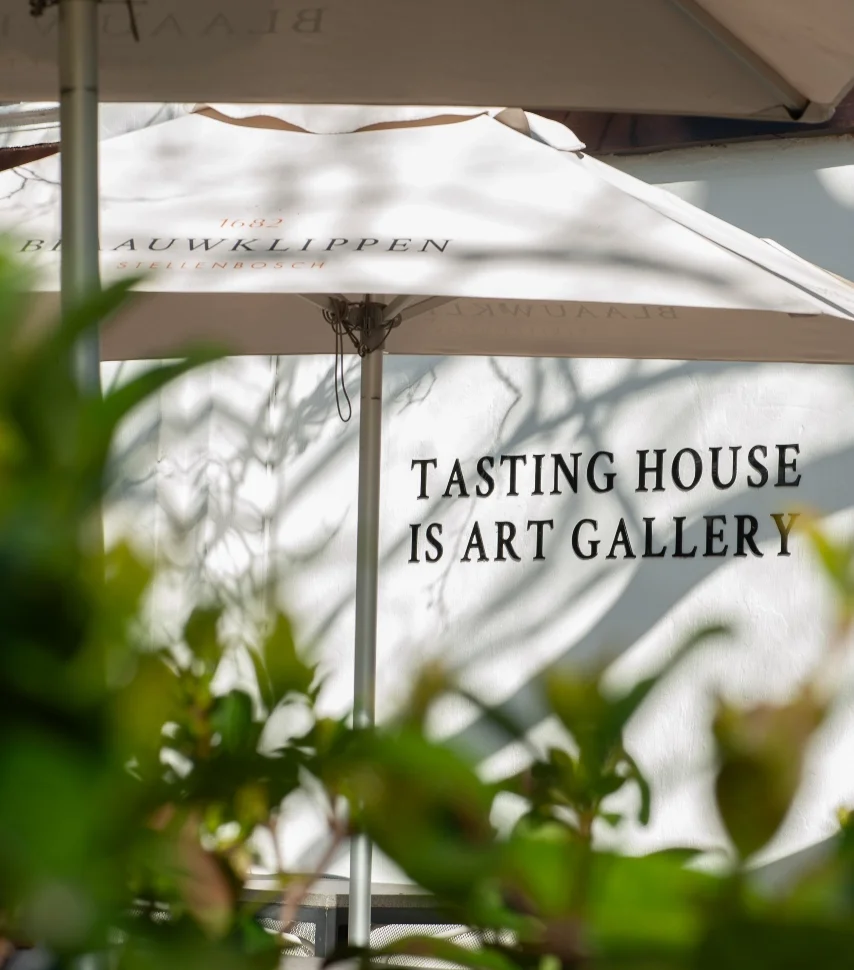 Blaauwklippen - Wine tasting - IS Art Gallery 03@2x