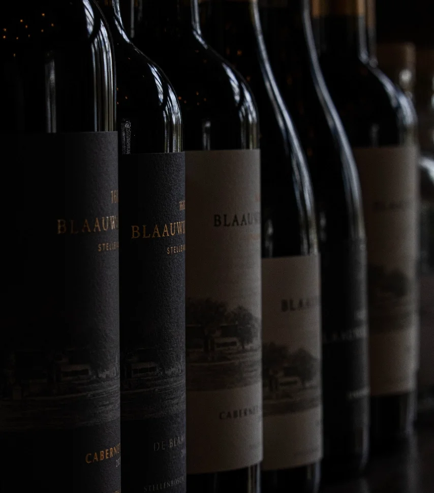 Blaauwklippen - Wine tasting - IS Art Gallery 04@2x