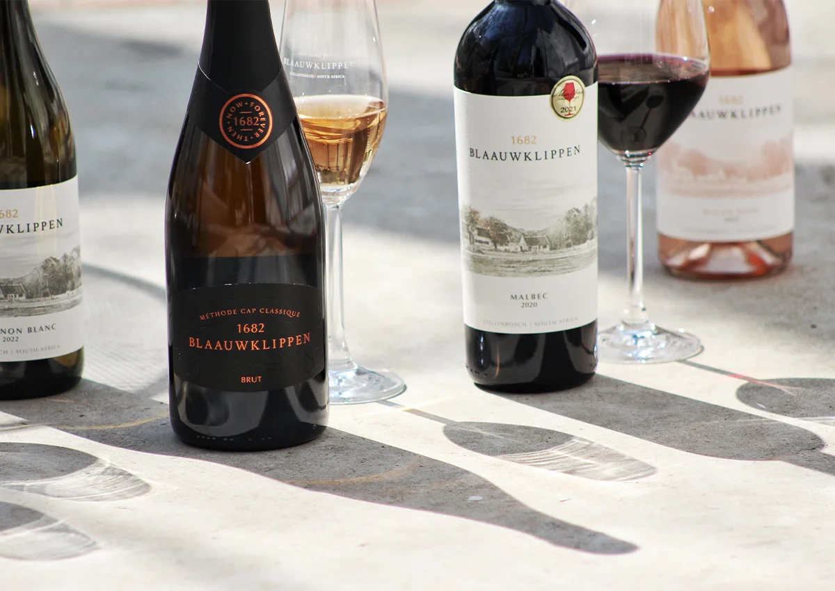 Blaawuklippen - Tasting House 11