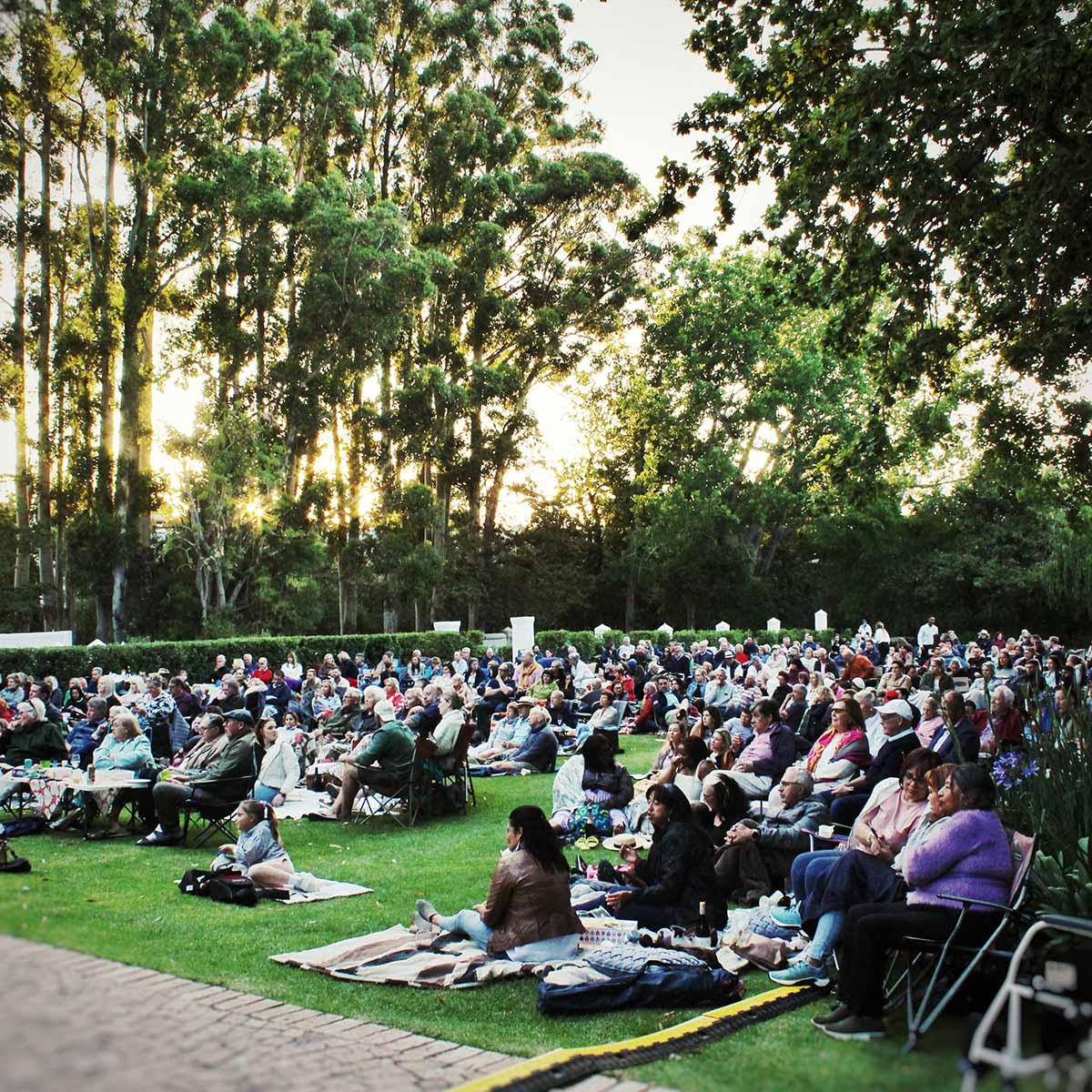 Blaauwklippen Carols by Candlelight