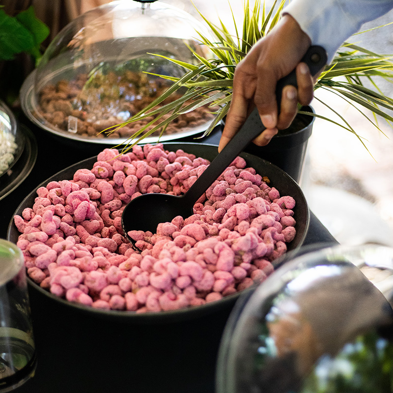 Blaauwklippen Family Market Nuts
